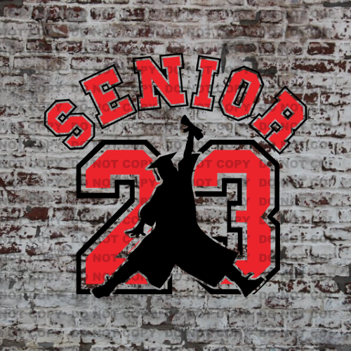 AIR SENIOR 23